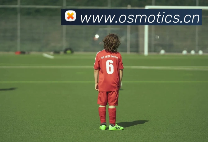 云顶集团官网登录入口发展历程